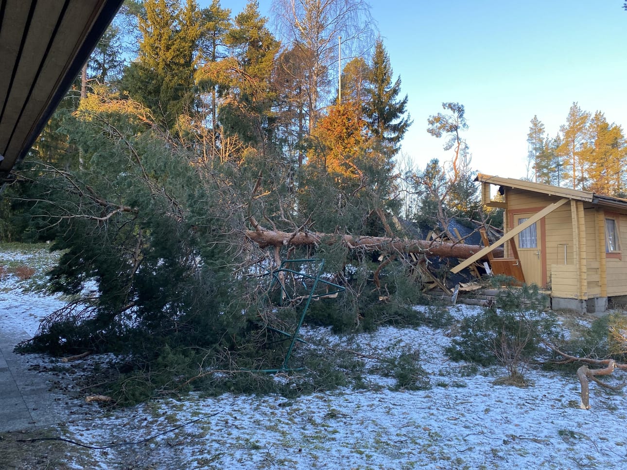 Kauhavalla mitattiin Hannes-myrskyn kovin puuska maa-alueasemilla. Härmässä puu kaatui rakennuksen päälle. Lukijan kuva.