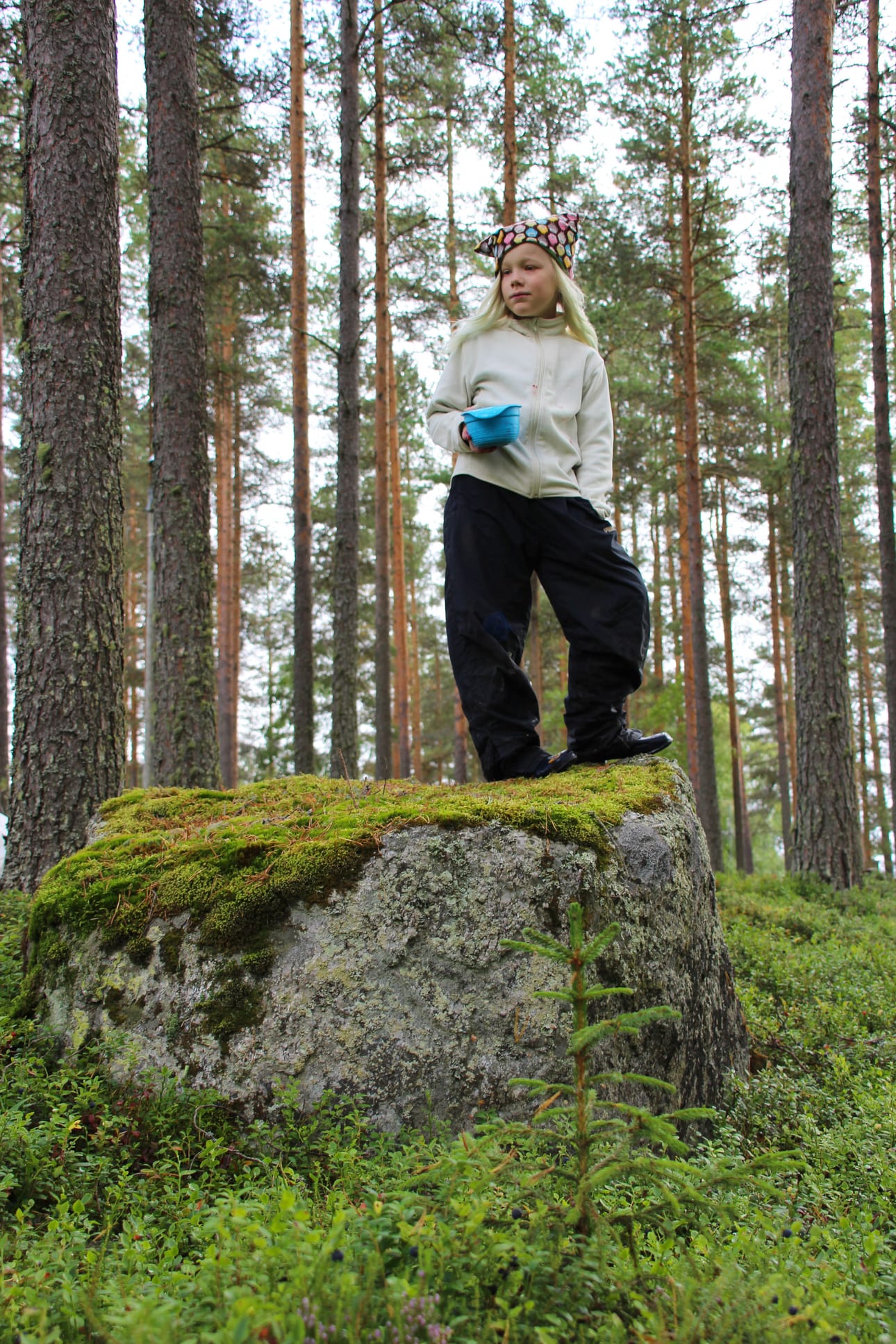 Jos tylsyys iskee, Aappo etsii metsän suurimman kiven ja tiirailee näkymiä.