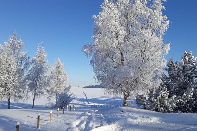 Alajärven ranta-alueilla osayleiskaava koskee erityisesti niitä kohtia, jossa ei ole asema- eikä ranta-asemakaavaa. Toinen merkittävä aihe uudistuvassa kaavassa on uusi liikenneyhteys valtatieltä Tupasaaren teollisuusalueelle. Kuvassa näkymä Alajärven ranta-alueelta Kirkontuvan takaa. KUVA: SAILA COLLANDER