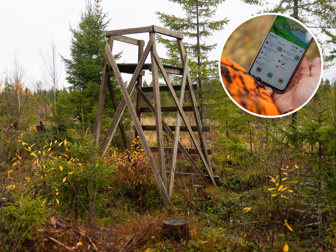 Metsästyskoiran liikkeitä voidaan seurata tutkan avulla. Syksyllä sattuneessa onnettomuudessa koiran tutkapanta ei kuitenkaan toiminut. Kuvan tutkakuva ei liity tapaukseen.