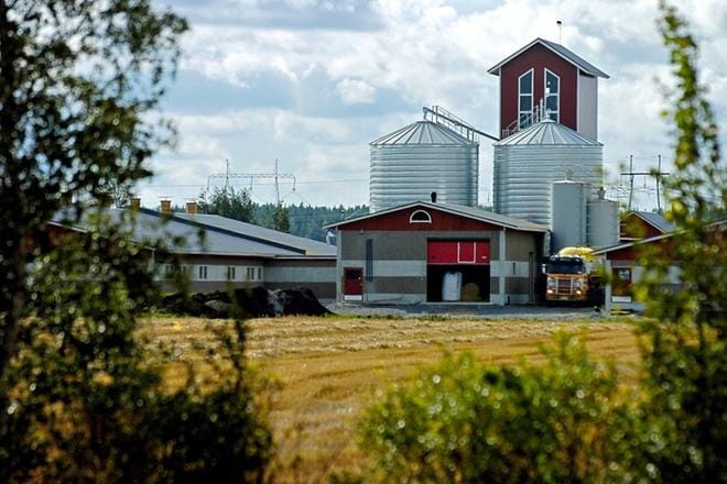 Agrikumppanit on alkanut tarjota maatalouslomituspalveluja Varsinais-Suomen lisäksi myös Etelä-Pohjanmaalle, jossa asiakaskunta on samanlaista ja paljon isoja tiloja pienellä alueella. KUVA: TOMI KOSONEN