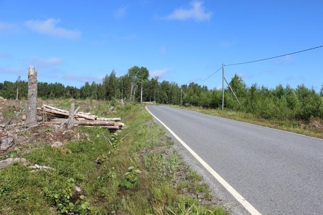 Moottoripyöräilijä oli tulossa Siipyyn suunnasta kuvassa näkyvään loivaan mutkaan, kun onnettomuus tapahtui. KUVA: TAUNO RIIHILUOMA