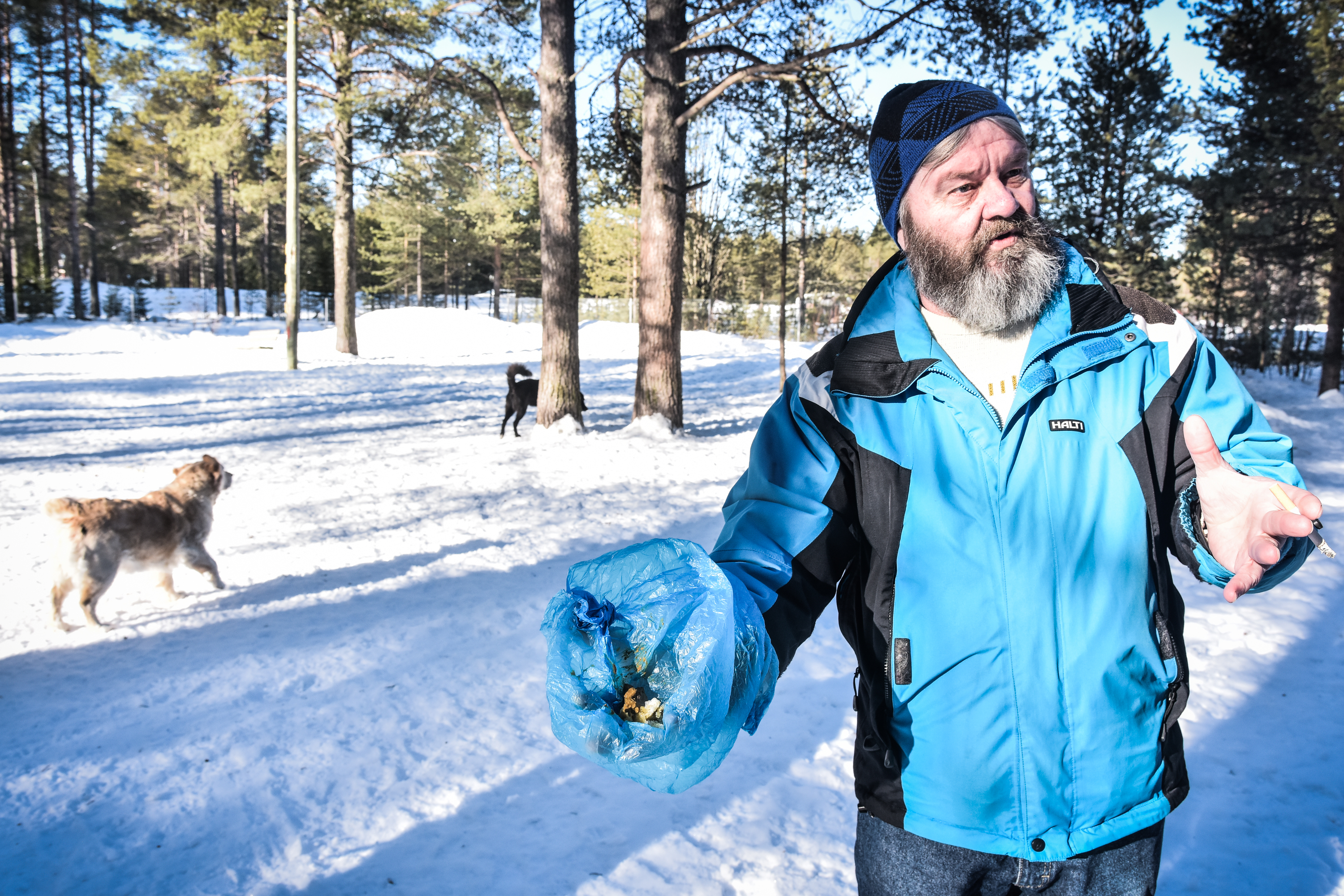 Koirankakasta purnaaminen alkoi tänä vuonna ennätysaikaisin – näin sanoo laki