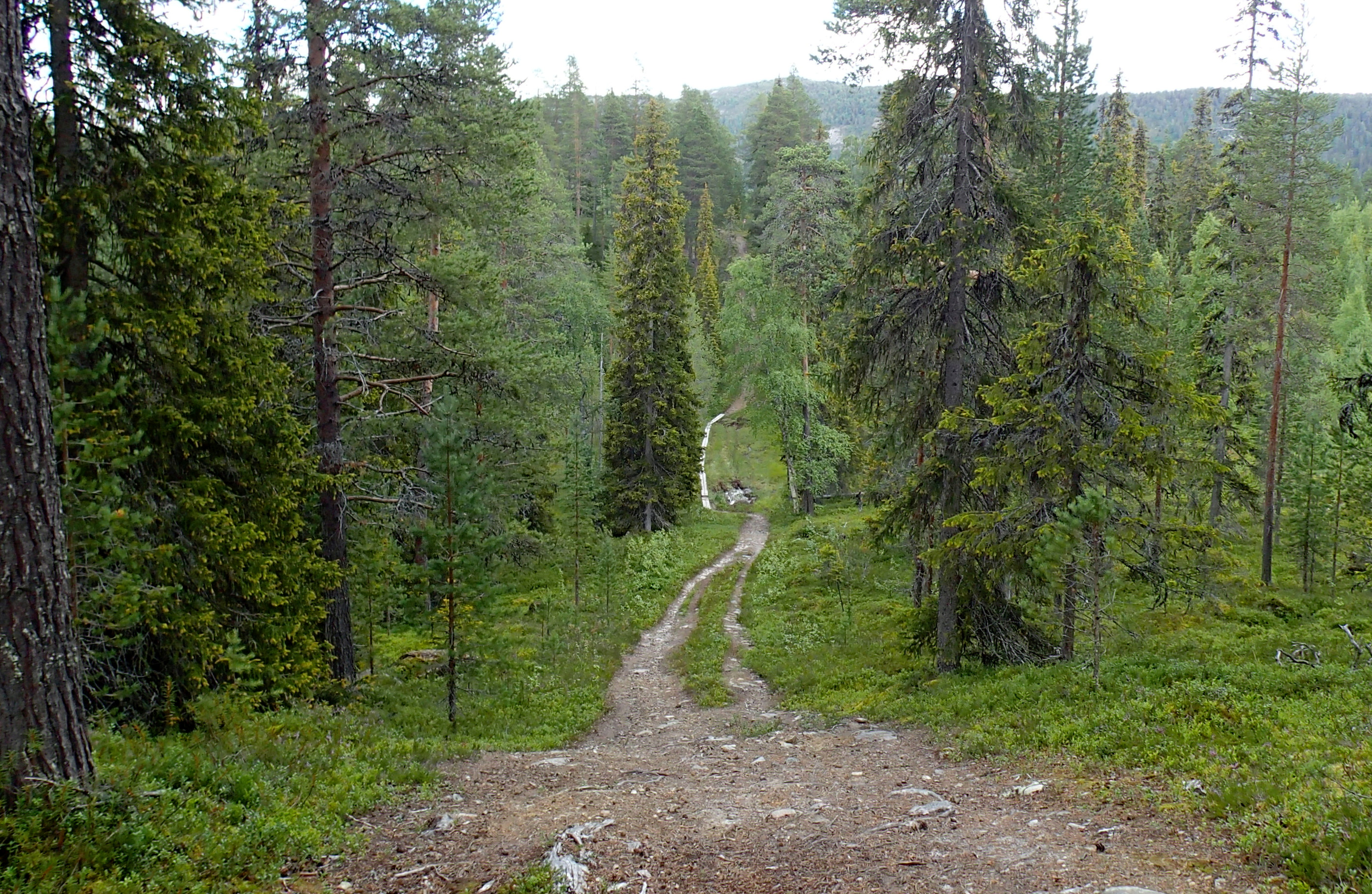 Valkeisenvaarassa pyöräilijöiden vauhti nousee huimaksi.