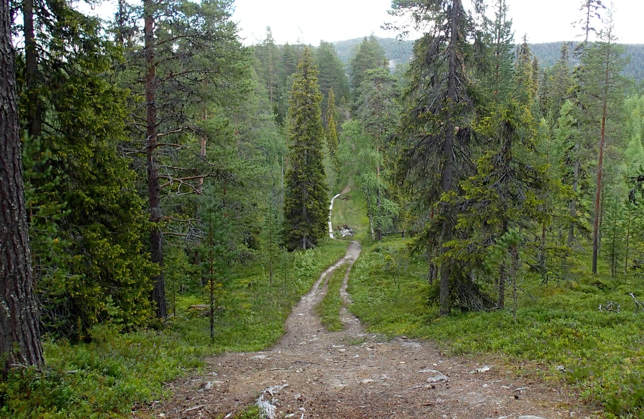Valkeisenvaarassa pyöräilijöiden vauhti nousee huimaksi.