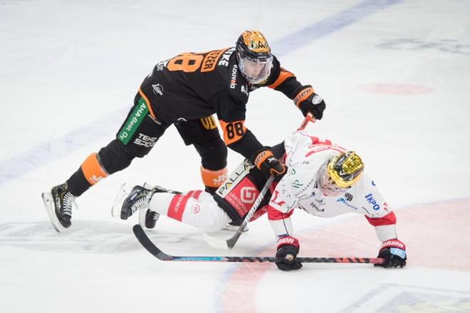 KooKoon Kyle Platzer jyräsi Sportin kultakypärä Sebastian Stålbergin yli. Kuva: Katja Juurikko