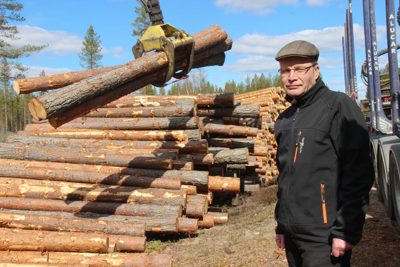 Metsänhoitoyhdistys Koillismaan johtaja Antti Härkönen pistäytyi Kivarintien varressa katsomassa, kuinka järeää sahapuuta lähti kulkemaan kohti Kontiotuotteen tehdasta, jossa puut sahataan hirreksi.