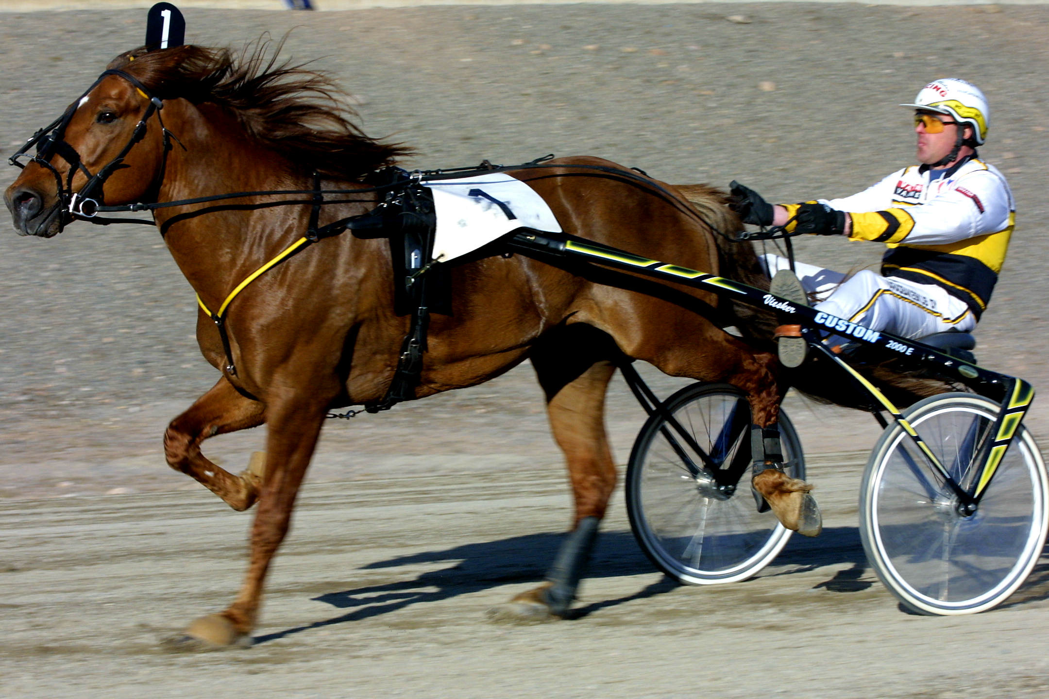 Viisinkertainen ravikuningas Viesker on kuollut