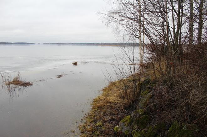 Kuortaneen Länsirannan Seppälänniemeltä avautuu avara näkymä Kuortaneenjärvelle. ARKISTOKUVA: REIJO HEIKKILÄ