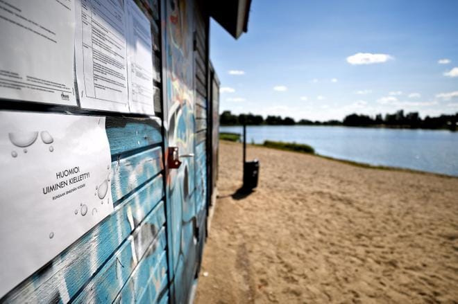 Sinilevää runsaasti sisältävissä vesissä uimista pitää välttää, sillä levä on myrkyllinen ja voi aiheuttaa muun muassa ihotauteja. KUVA: TOMI KOSONEN