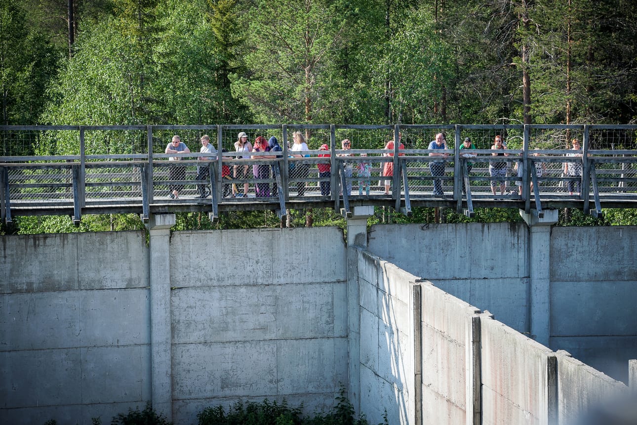 Paikalle oli saapunut myös yleisöä seuraamaan, mitä jääkarhut pitävät lumiyllätyksestä.