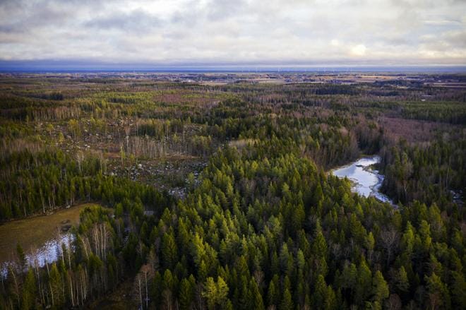 Vaasan ja Mustasaaren maille sijoittuvalle Laajametsän teollisuusalueelle on mahdollista rakentaa akkutehdas. ARKISTOKUVA: JARNO PELLINEN