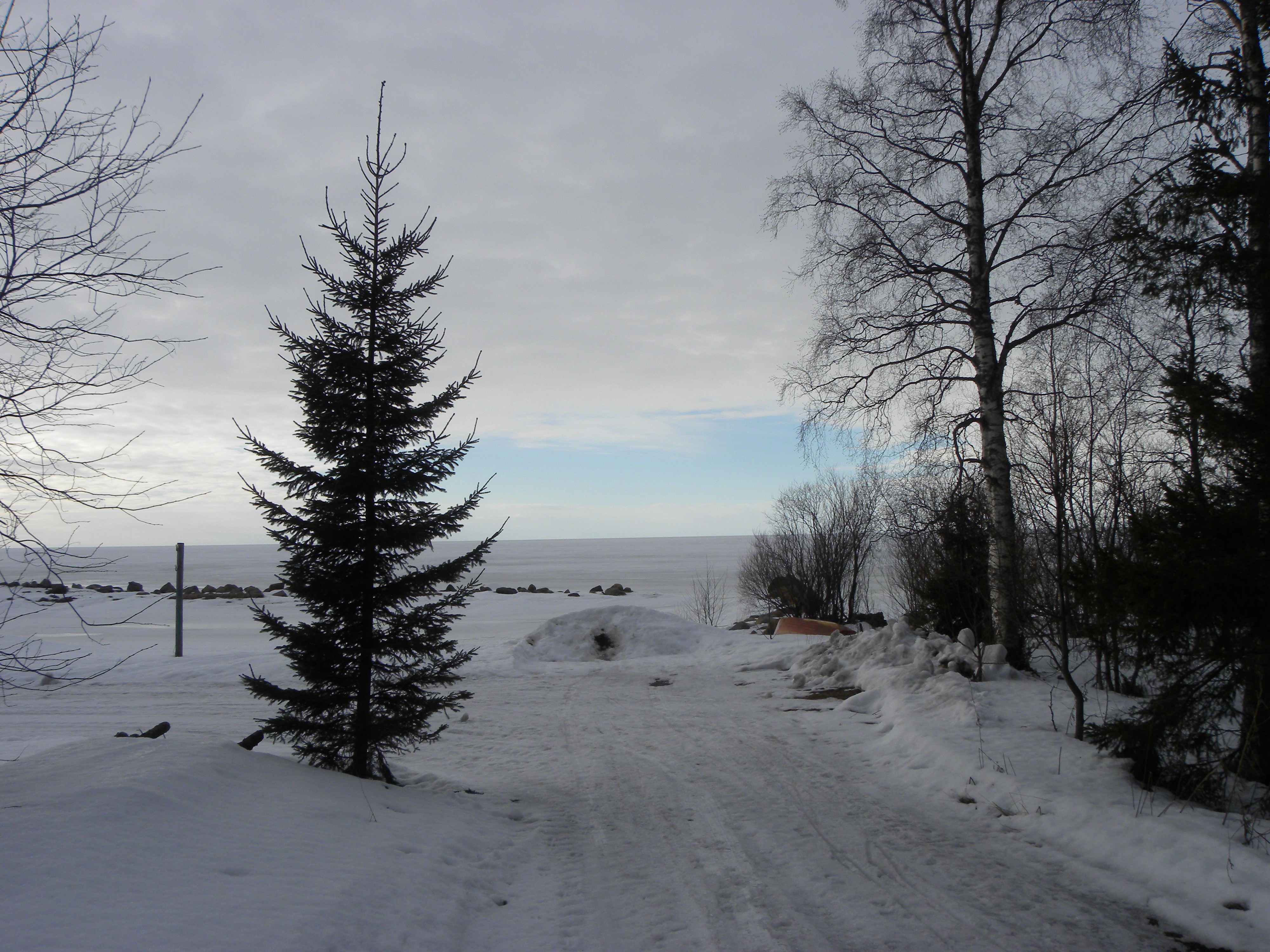 Maaliskuun 2012 Lukijakuvat Kaleva