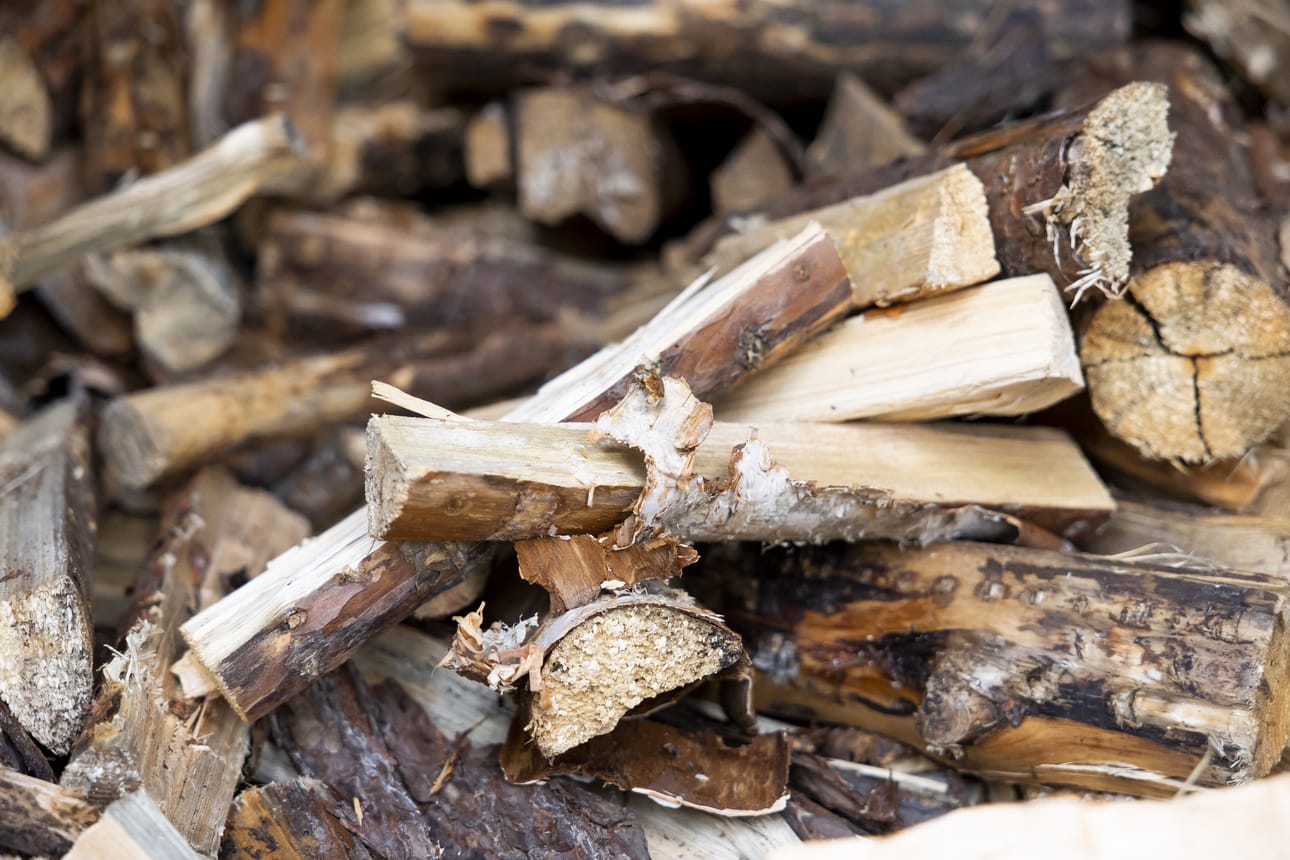 Kirjoittaja muistelee, kuinka "risusavotta" ei ollut risujen keräystä, vaan monipuolista metsätyötä, joka toi toimeentulon työllistämisvelvoitteen aikana 1980-90-luvuilla.