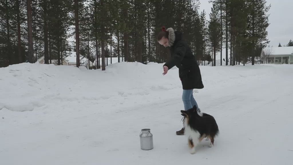 Nuorten harrastukset: Minja Ranta, Agility