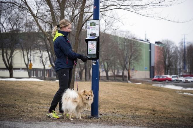 Telinettä ei hevin hoksaa automaatiksi, josta voi nyppäistä pussin koirankakan keräämistä varten. Sofia Vidlund vetää pussia ja Ivar seuraa vierestä. KUVA: JARNO PELLINEN