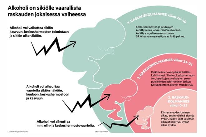 Alkoholin vaikutukset sikiöön.