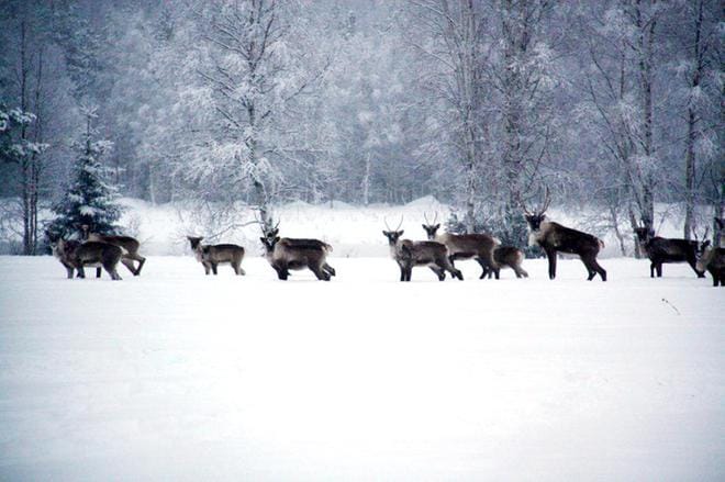 Kuvituskuva: Järviseutu-lehti