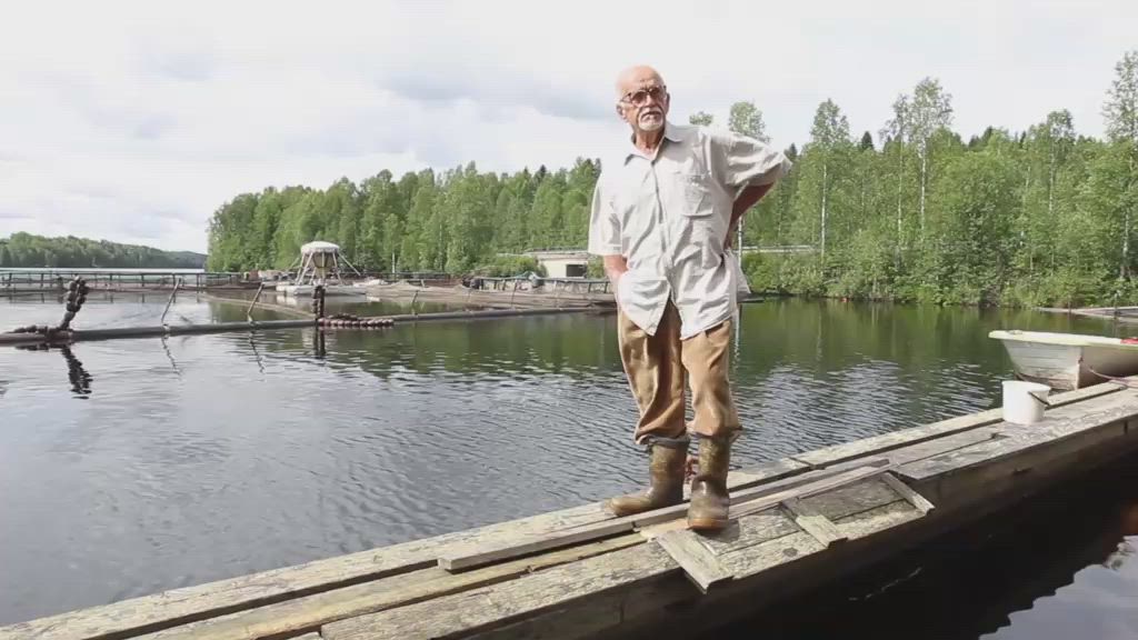 Kaihuan kalanviljelylaitoksella