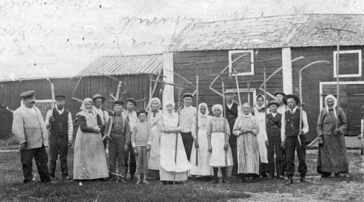 Vanhan ajan häissä ihmiset saavat pukeutua entisajan muotiin. Tosin ei ihan näin arkisesti. Kuvassa on heinäväkeä Kempeleessä vuonna 1914.