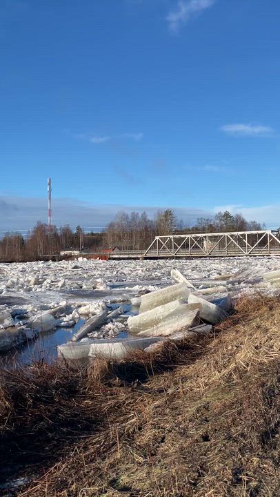 Kiimingin Alakylässä joki tulvii 27.3. 08:00 alkaen. Padon pituus jo n. 500m ja vesi nousee silmissä.