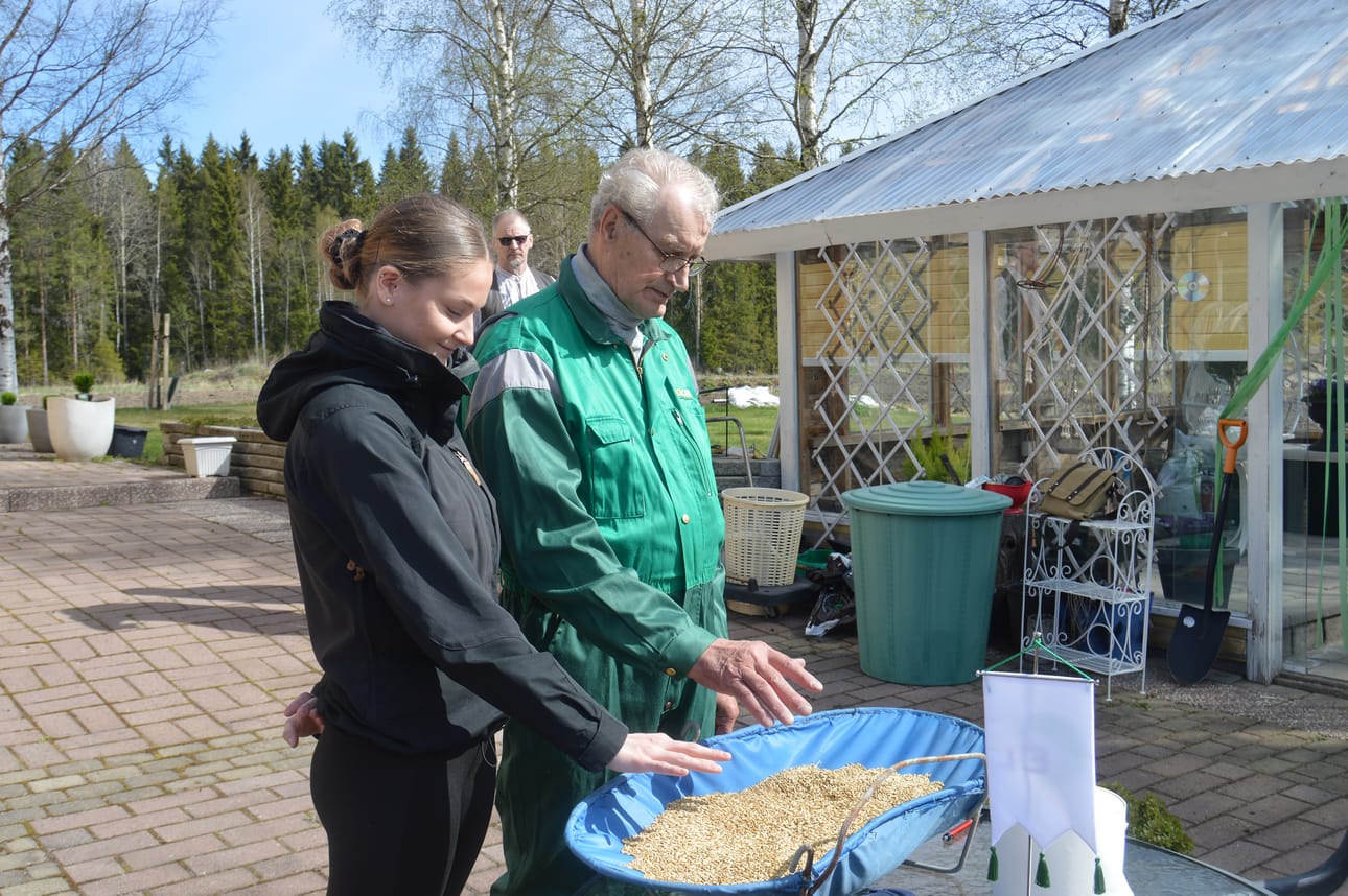 Oulaisten toukosiunaus-tilaisuus pidettiin tänä keväänä Hannuksessa.