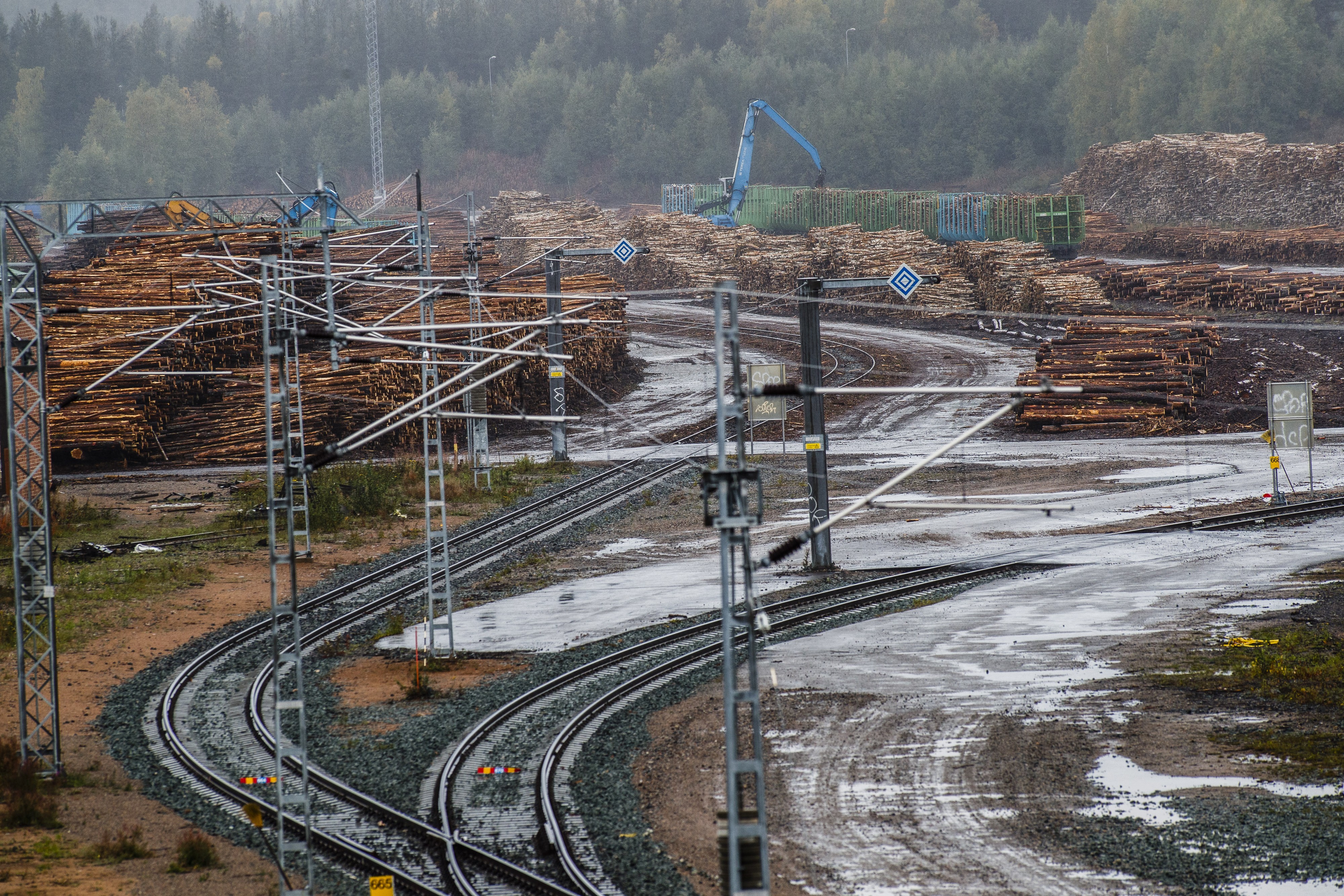 Viime talvena metsätalouden yrityksillä jäi puuta kuljettamatta, koska VR:ltä ei löytynyt tarpeeksi vaunuja.