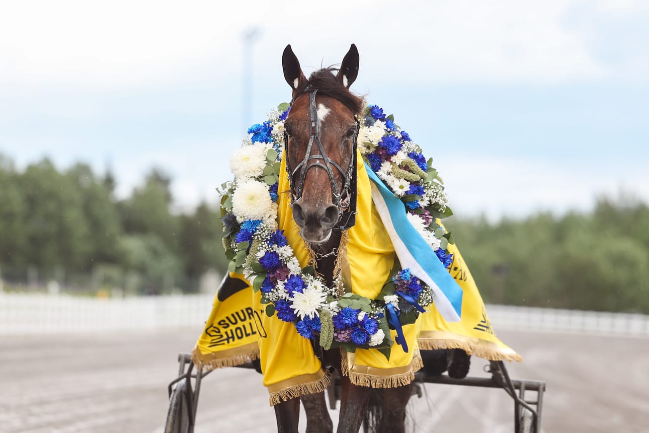 Massimo Hoist on saanut kutsun molempiin kevään kotimaisiin suurkilpailuihin, Seinäjoki Raceen ja Finlandia-ajoon. Se ravasi pelkästään viime vuonna 263 325 euroa palkintorahoja ja voitti muun muassa Suur-Hollola-ajon (kuva).