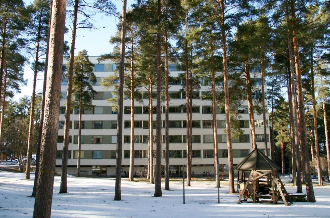Momo-koteja oululaisittain. 1970-luvun alussa valmistuneet seitsenkerroksiset talot reunustavat Kaukovainion matalampaa aluetta.