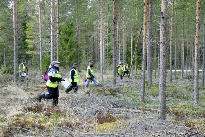 Vuonna 2017 viranomaiset hälyttivät Vapaaehtoisen pelastuspalvelun 416 hälytystehtävään. Hälytyksistä lähes puolet oli kadonneen etsintöjä. Arkistokuva