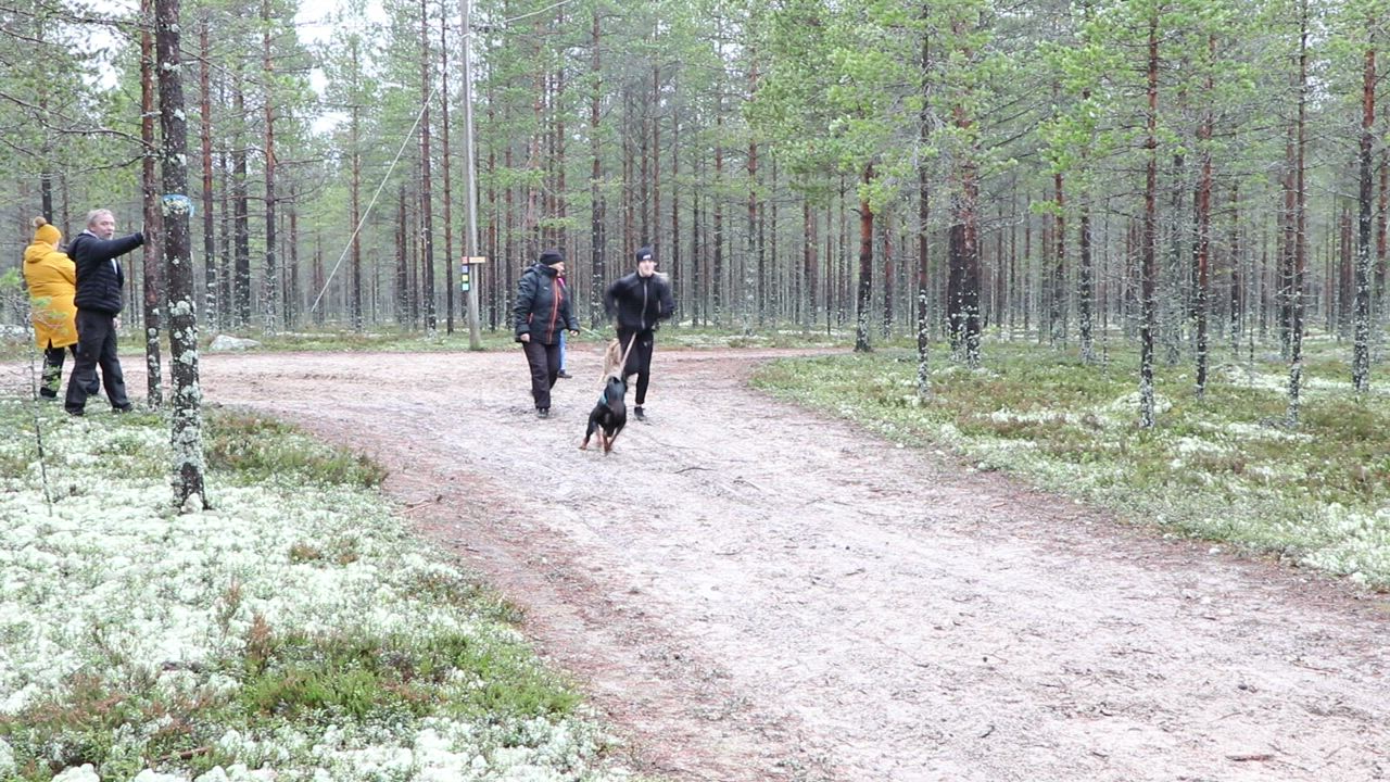 Koirajuoksussa molempien kunto kasvaa