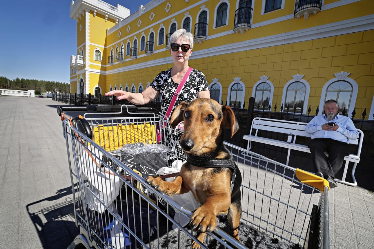 Lopella asuva Sari Uotila oli lomamatkalla Alavudella Onni-koiransa kanssa. Onni pääsi mukaan ostoksille Tuurin Kyläkauppaan.