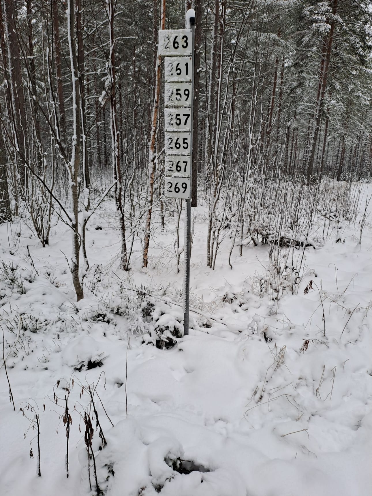 Teatterifestivaali päättyy Veisuutapahtumaan. Sunikarin tien varressa veisataan yhdessä virsiä tienviittojen numeroiden mukaan. Tässä ovat tulevan kesän virret vielä lumen peitossa.