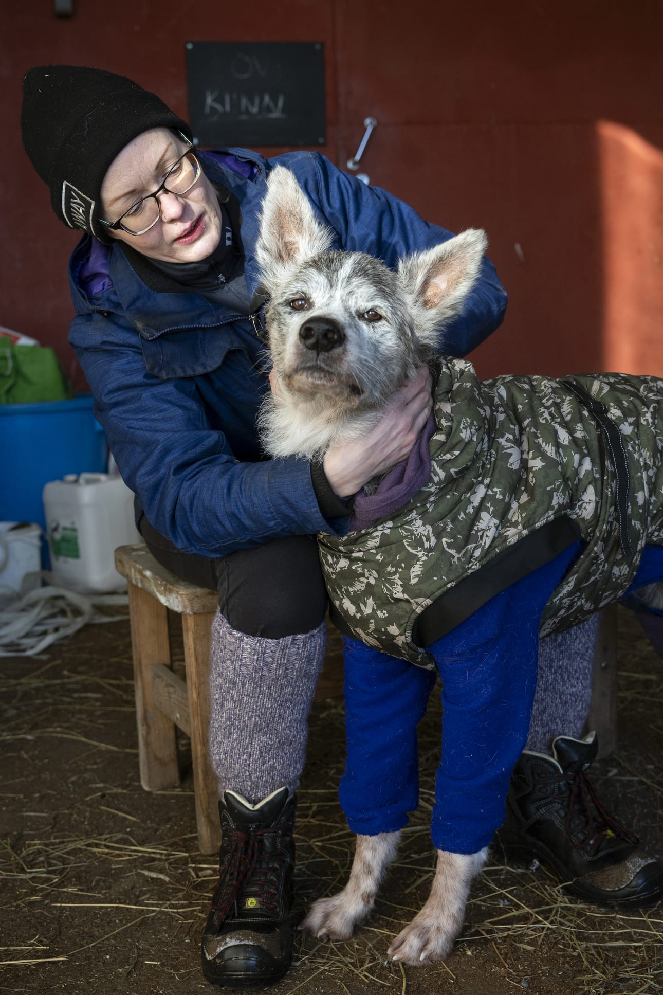 Myös Kovu-koira kärsi terveysongelmista hometalossa. Siltä lähti kokonaan turkki yhden pesun yhteydessä. Koira oli Miia Uusi-Rannan mukaan jatkuvasti väsynyt. Turkki ei ole kokonaan palautunut, joten se kulkee emäntänsä ompelemassa lämpöpuvussa.