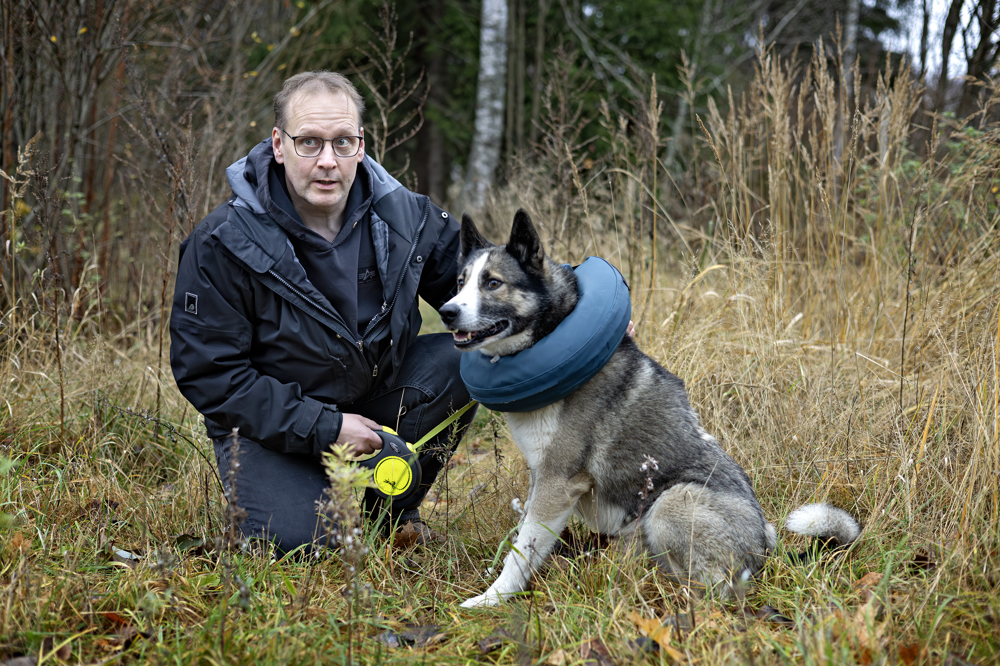 Karhu kävi Kodan kimppuun hirvijahdissa – "Koira huusi ja parahti. Pelkäsin, että se kuoli"
