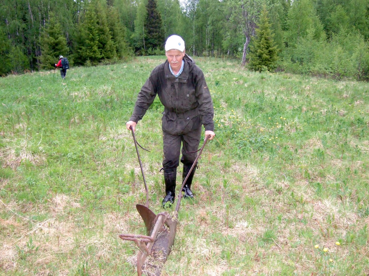 Viljo Törmänen pääsi käymään kesällä 2007 äitinsä syntymäpaikalla rajan takana Pienen Siikajärven rannalla Aholan paikalla ja tarttui paikalta löytyneeseen vanhaan auraan. Ahola oli aikoinaan Kuusamon eräitä itäisimpiä taloja ja sijaitsi Nuorusen itäpuolella.