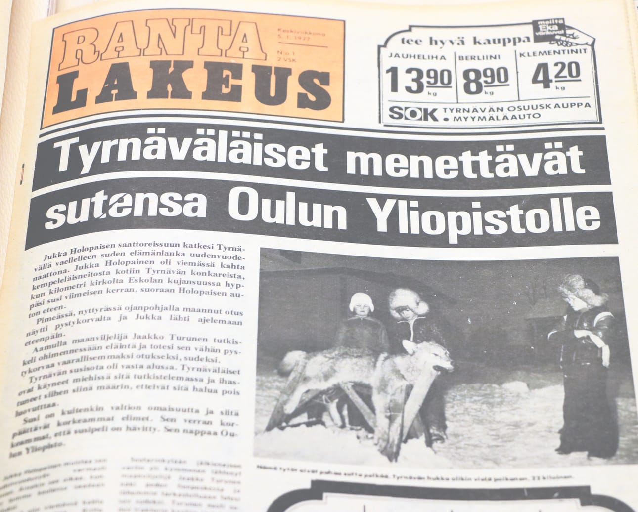 Tyrnävän sutta käytiin sankoin joukoin ihmettelemässä Jaakko Turusen tilalla. Kunnan alueella saatettiin nähdä vain siellä satunnaisesti vaeltavia hukkia.