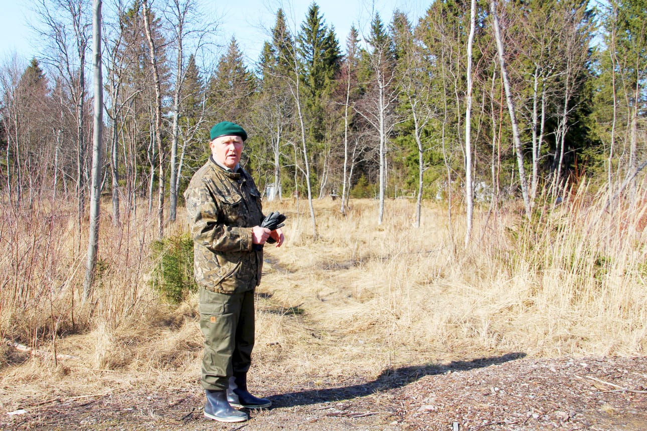 Metsänreunaan Martti Patokosken taakse on luonnosteltu kolme loma-asuntotonttia osakaskunnan maalle ja yksi seurakunnan maalle.