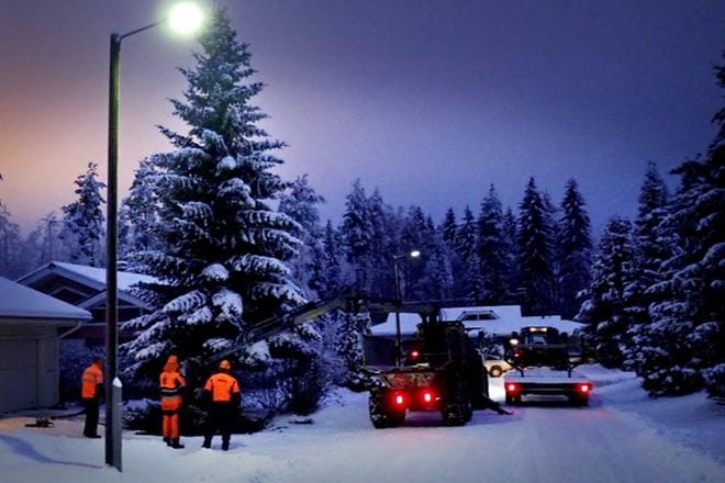 Videolla pihan valtakuusi kellahtaa tasan tarkkaan rähmälleen kohtaan, mihin metsuri sen halusikin kaatuvan. Pihakuusesta tuli yhtäkkiä liian iso. Sen ryhdikkäät oksat kurkottelivat kulkureiteille ja juuret laatoituksen alle.