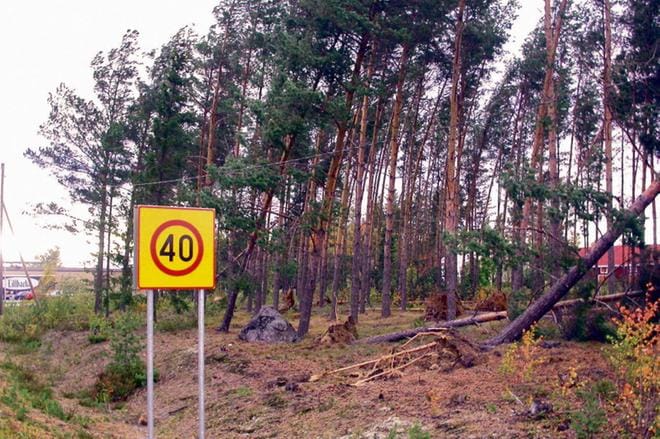 Aila-syysmyrsky puhaltaa Järviseudulla kovalla voimalla. ARKISTOKUVA