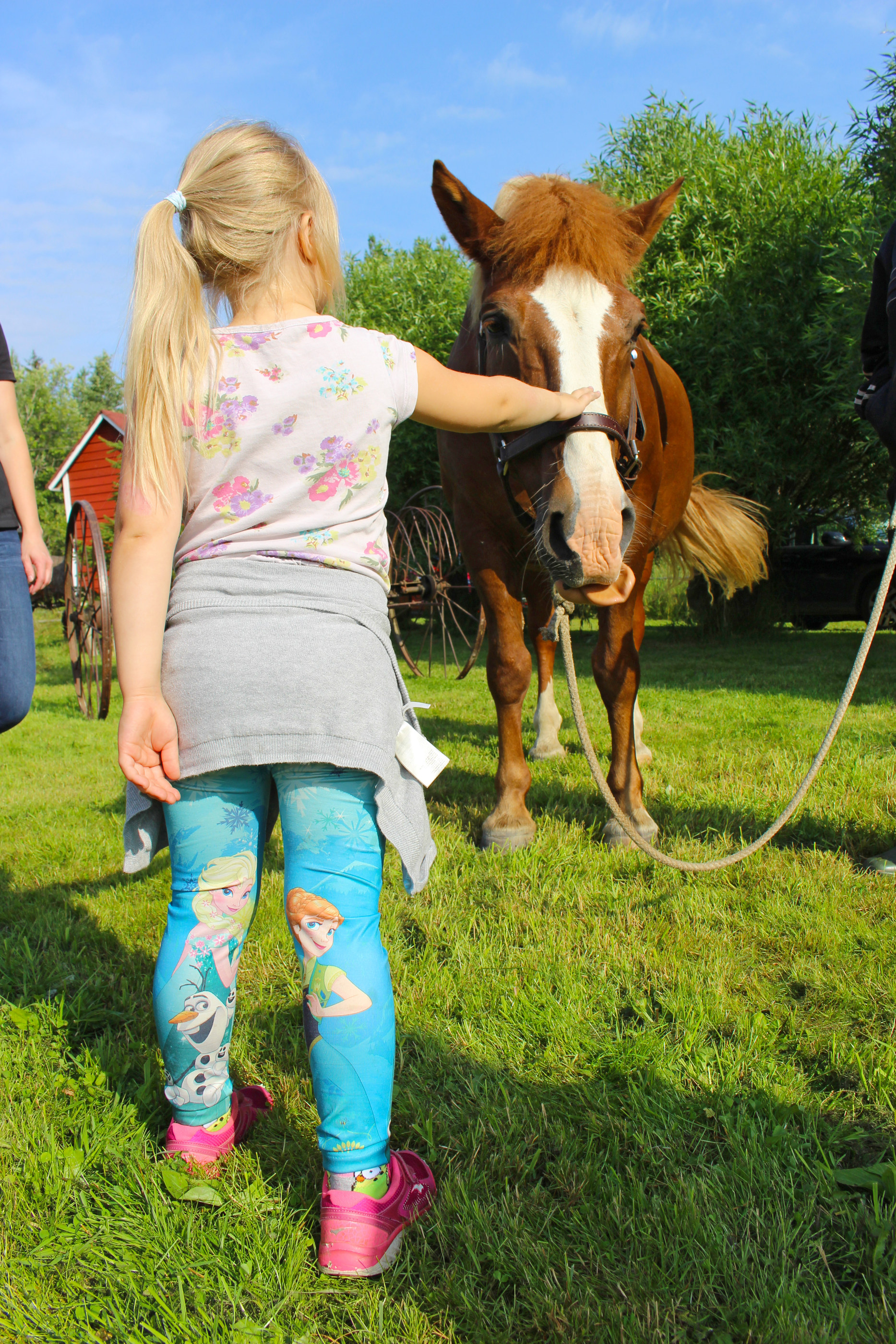 Moni lapsista kävi rapsuttelemassa Peikkoa. 19-vuotias ruuna otti rapsutukset vastaan hyvillä mielin.