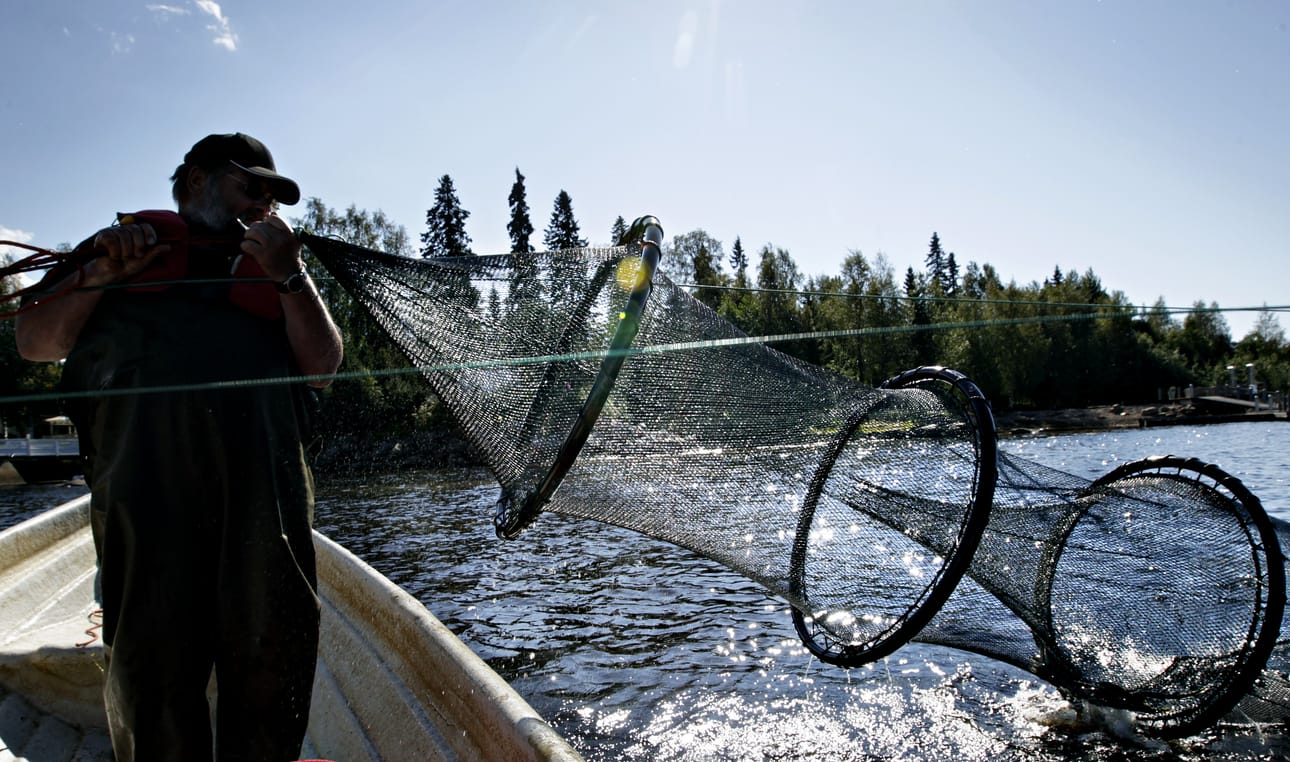 Nahkiaisen pyytäjät toivovat pimeitä myrskyöitä.