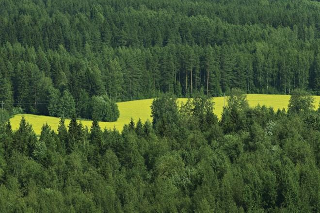Malminetsintä ei saa vaikeuttaa Simpsiön retkeilyreittien käyttöä. Kuvan näkymä on Simpsiön näkötornista. Arkistokuva: Tuomas Sarparanta