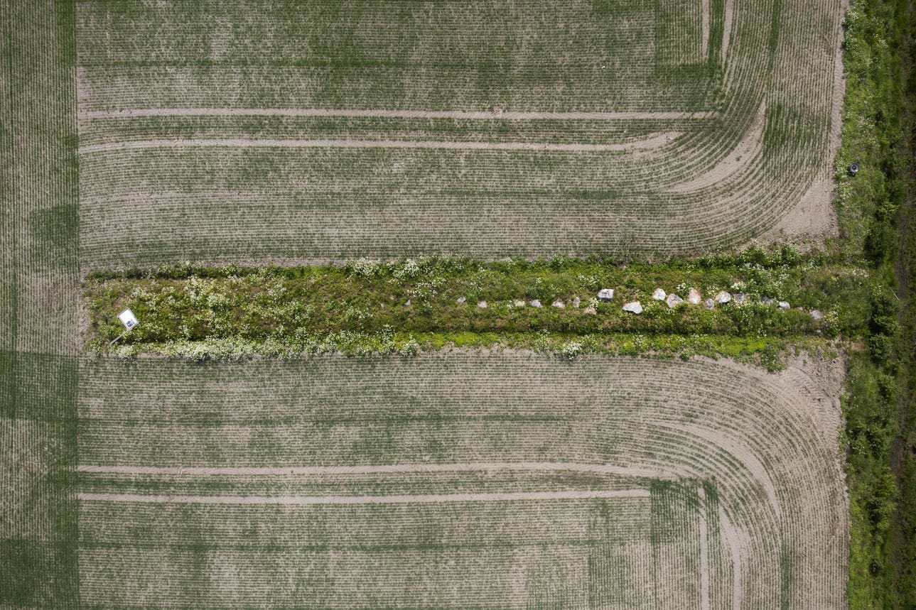 Jättiläisten tie sijaitsee Kyrönjoen pohjoispuolella Orko-nimisellä peltonotkolla. Tien arvellaan kulkeneen vesijättömaan halki; sana Orkokin merkitsee vesijättömaata. Kasvillisuus on vallannut kivipaasien ympäristön.