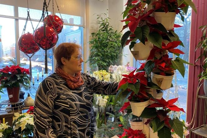 Joulu on kukkakaupan suurin sesonki ja Maarit Håkansilla pitää kiirettä. Eniten hän myy perinteisiä kestosuosikkeja: ruukussa olevia joulutähtiä ja amarylliksia. KUVA: LAURA KROHN