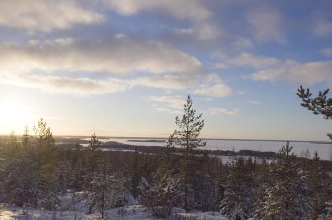 Näkötornin rakentamisella halutaan parantaa mahdollisuuksia järvimaiseman ihailuun. Näkötornista tulisi 16 metriä korkea. ARKISTOKUVA: JOHANNA HEIKKILÄ