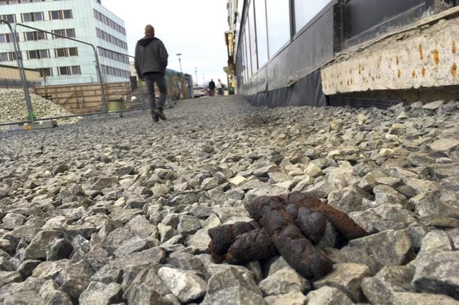 Järjestyslain mukaan koiran omistajan on huolehdittava siitä, ettei koiran uloste jää ympäristöön hoidetulla alueella taajamassa. Kuvat Virpi Kupiainen-Ämmälä