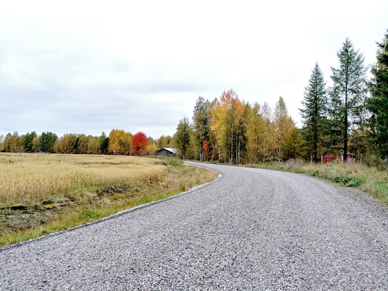 Alajärvelle kaavaillaan hanketta, jonka turvin tiekunnat saataisiin taas toimimaan. Niistä monen toiminta on vuosikymmenien saatossa loppunut.