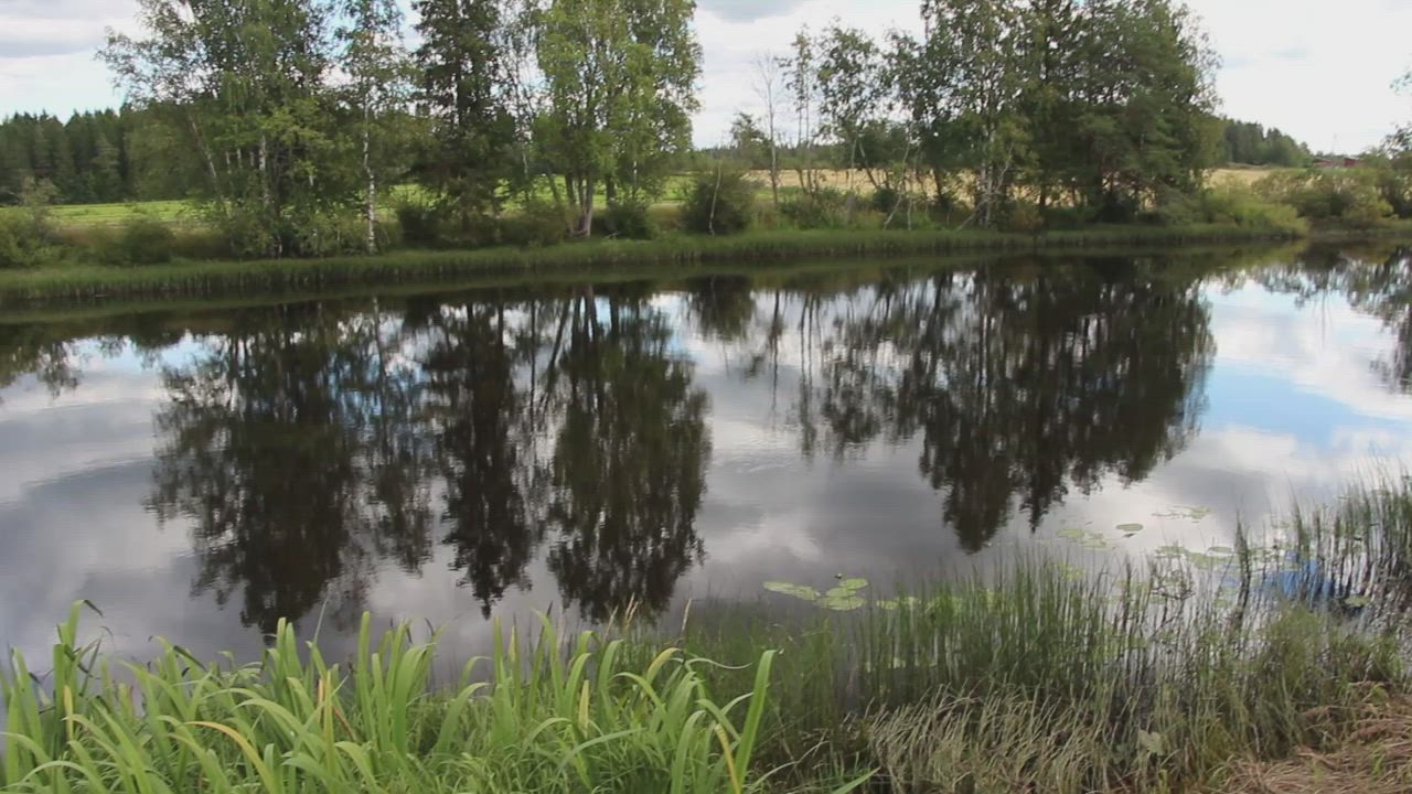 Katso video: Pyhäjoesta löytyi mielenkiintoinen yllätys
