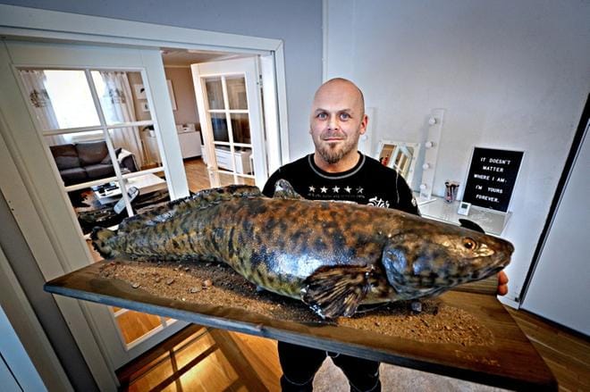 Iso made osuu harvoin kohdalle, vaikka olisi paljon liikeellä ja lajin taitaisi. Lapualainen Teemu Etelä-Aho sai taannoin Lappajärveltä 5,8-kiloisen mateen. KUVA: KARI LÖFHJELM